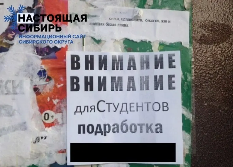 Барнаул и соседние районы сталкиваются с длительным поиском работы: уровень безработицы оценивается около 3,5%, а среднее время поиска — примерно пять месяцев.