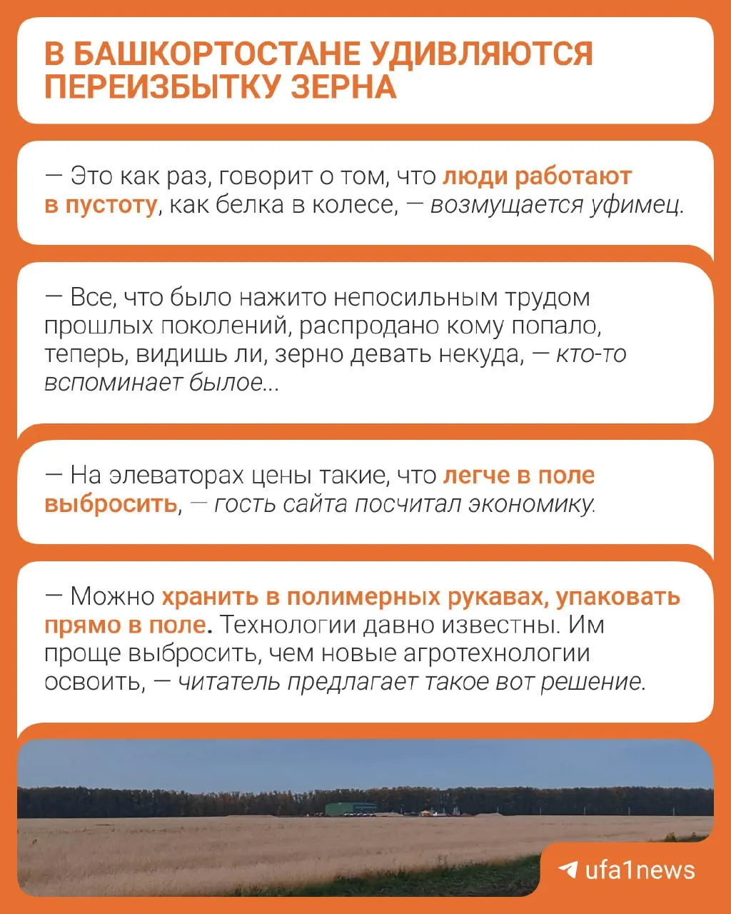 Избыток зерна оценивается в 2,5 млн тонн; производство прошлого года превысило потребности (3,6 млн против 2,2 млн), что поднимает вопросы хранения.