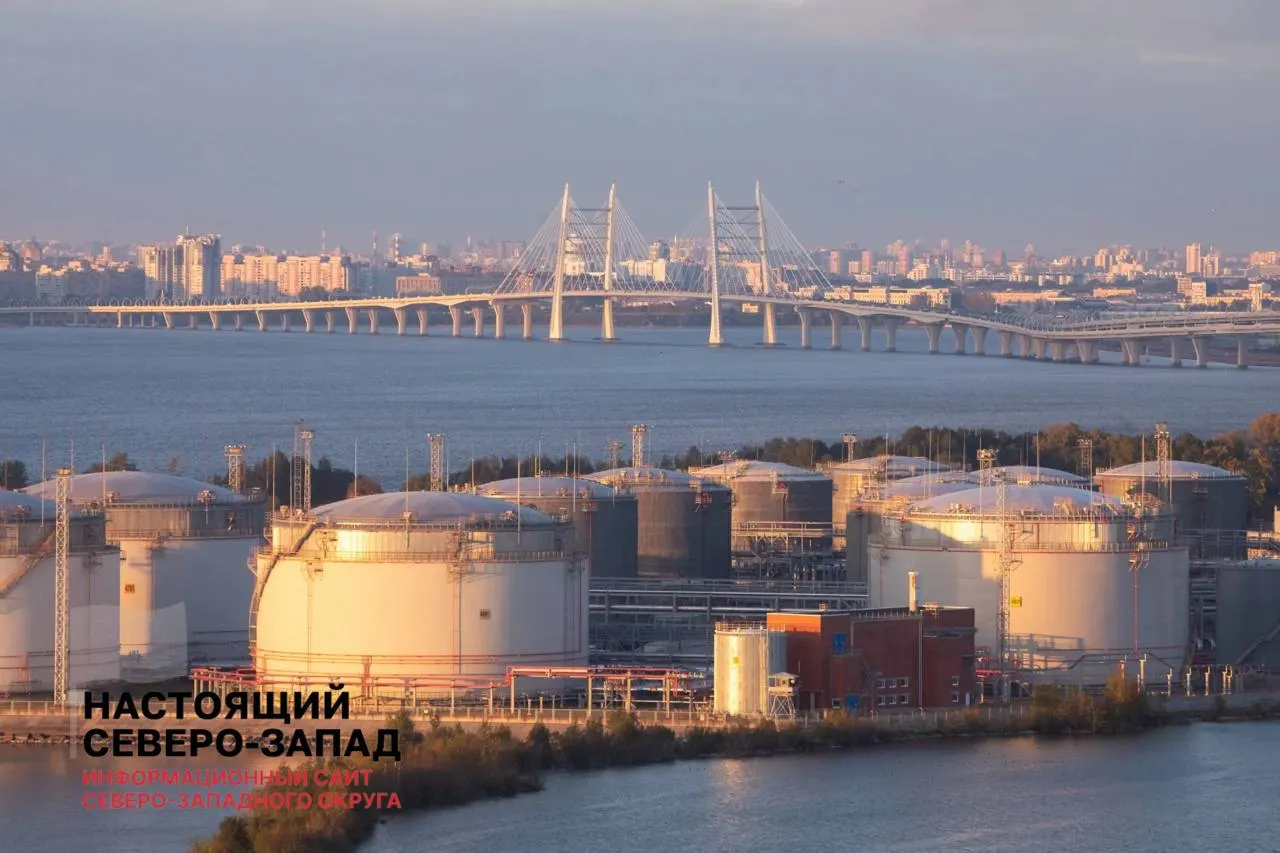 Совладелица нефтяного терминала «Росхим» обжаловает продажу 55% акций и обвиняет государство в нарушении права на первоочередной выкуп; речь идёт о передаче контроля над одним из крупнейших балтийских терминалов.