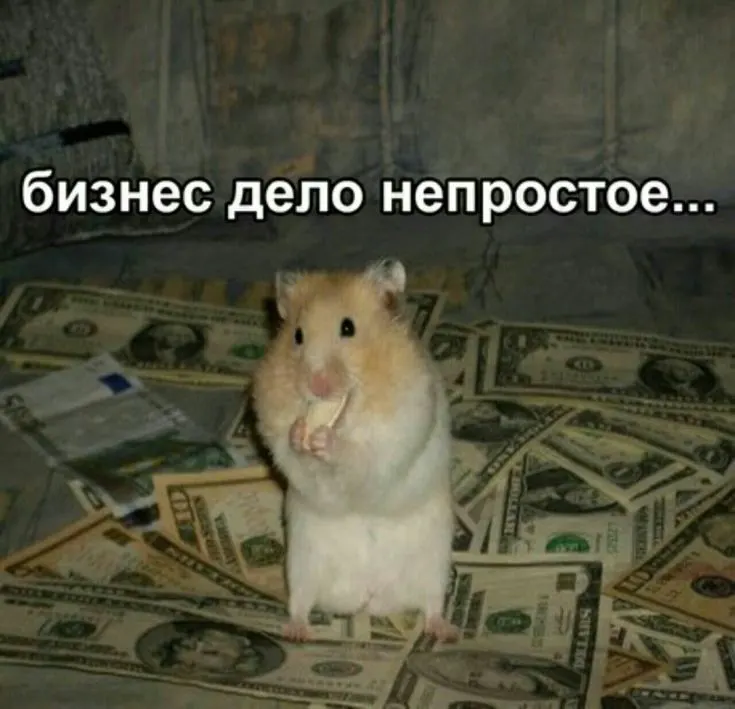 По данным следователей, руководитель завода по выпуску светотехники завышал расходы и применял спорные вычеты по НДС; недоимка оценивается в более чем 98 млн рублей, арестованы счета и имущество на сумму около 100 млн.