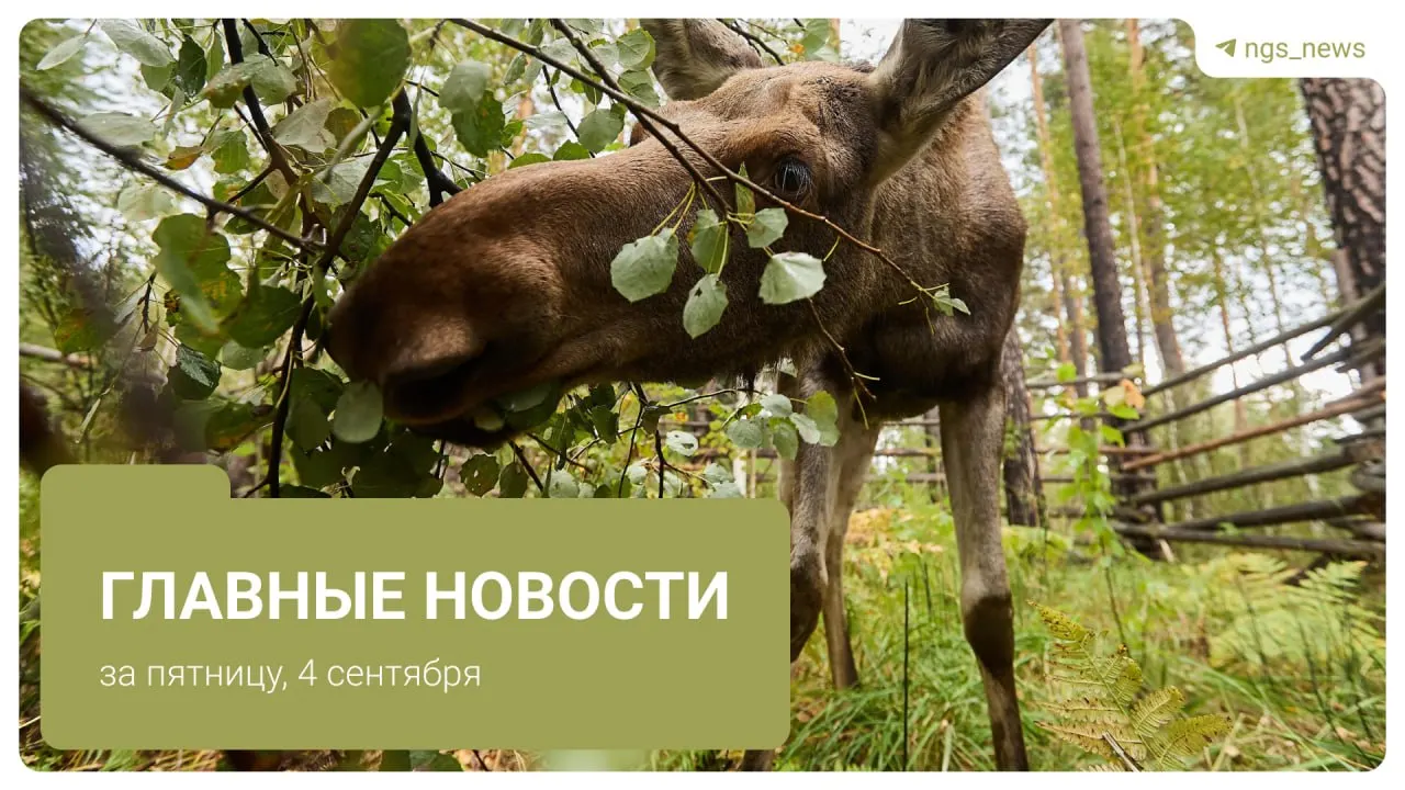 В регионе ожидается рост платежей за коммунальные услуги с начала октября; власти обещают минимизировать последствия для семей.