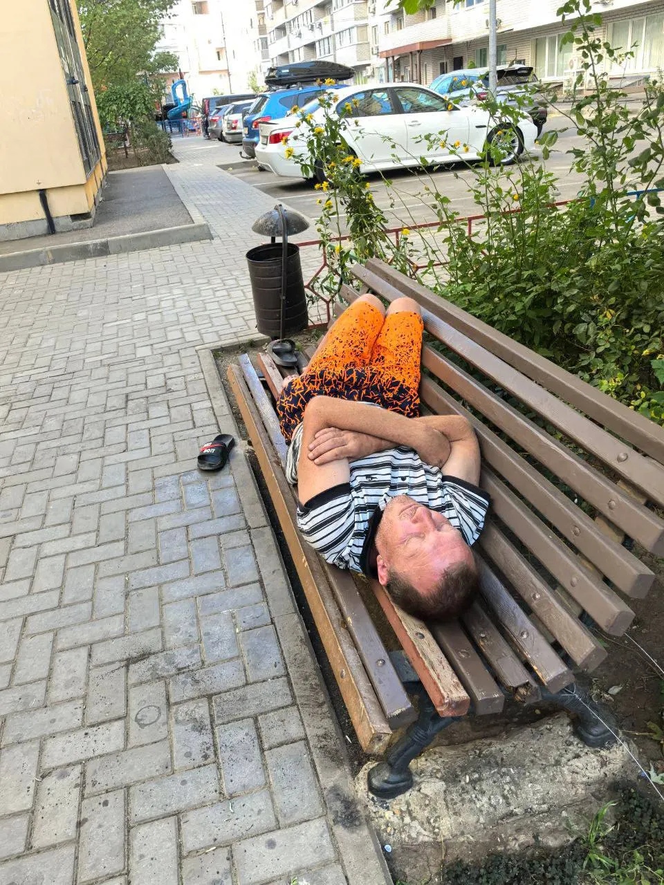 Уточняется площадка под единственный вытрезвитель в Краснодарском районе; дата открытия пока не объявлена. Подготовка участка уже идёт: передан муниципалитету, проведена вырубка аварийных деревьев и установка ограждений. Планируется строительство одноэтажного модульного здания на 500 кв. м на 20 мест.