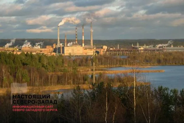 За первые шесть месяцев 2026 года 54,5% карельских предприятий оказались убыточными; итоговый баланс — минус 132,5 млн рублей.