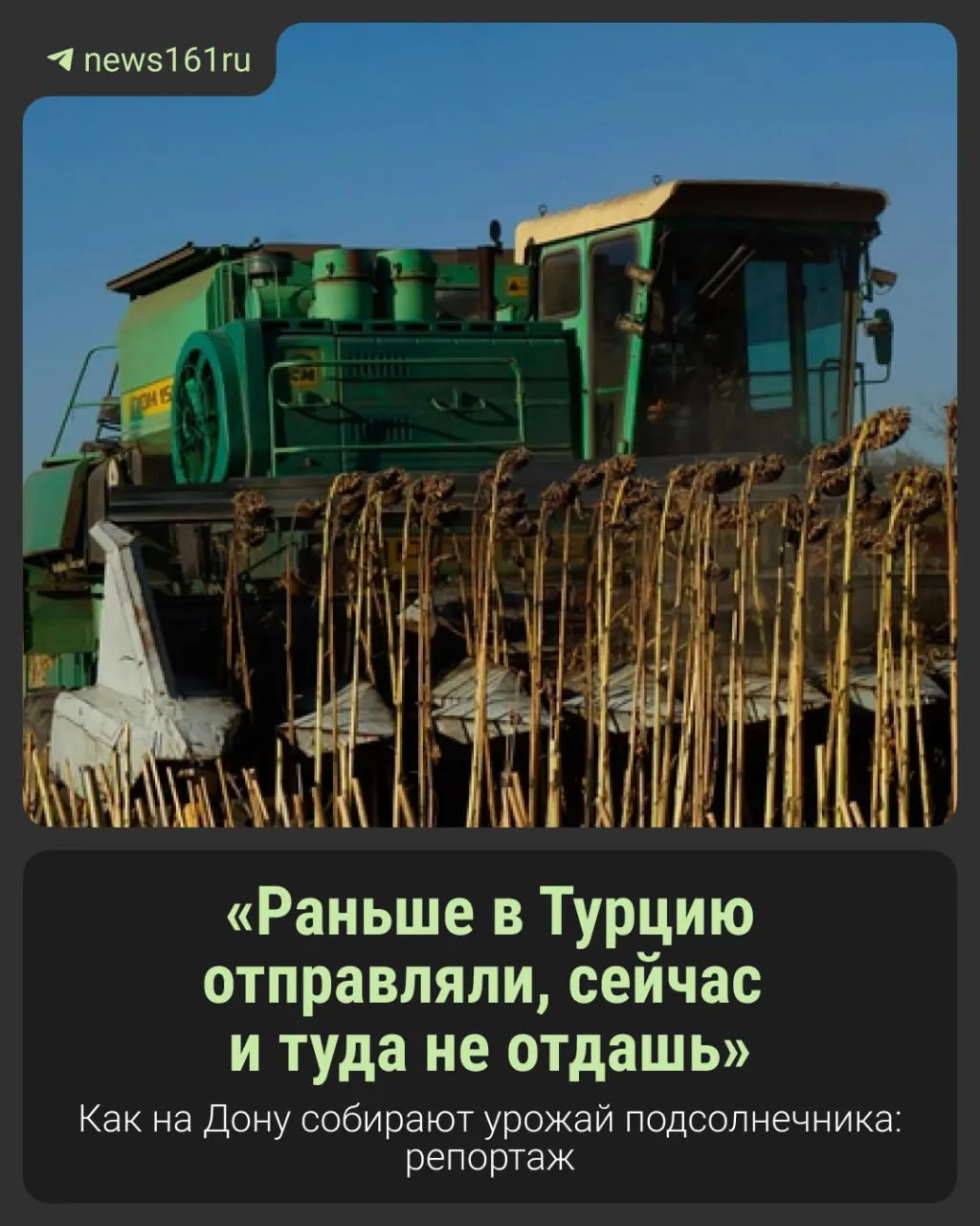 Фермеры сталкиваются с бюрократией ФГИС, растёт спрос на масличные, а одновременная продажа усиливает конкуренцию в регионе.