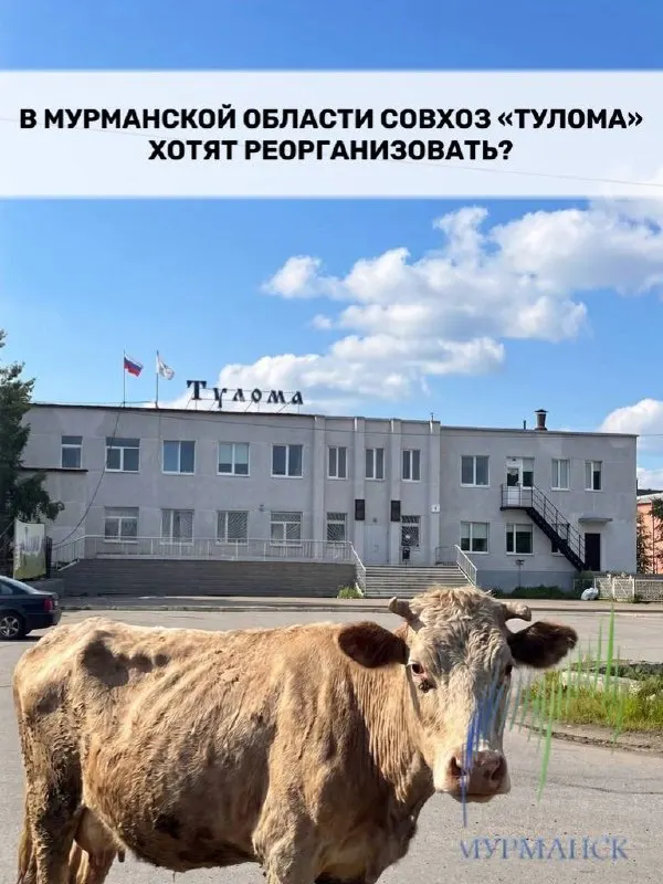 Обсуждается реорганизация совхоза в Мурманской области на фоне долговременной господдержки и вопросов к эффективности текущей модели.