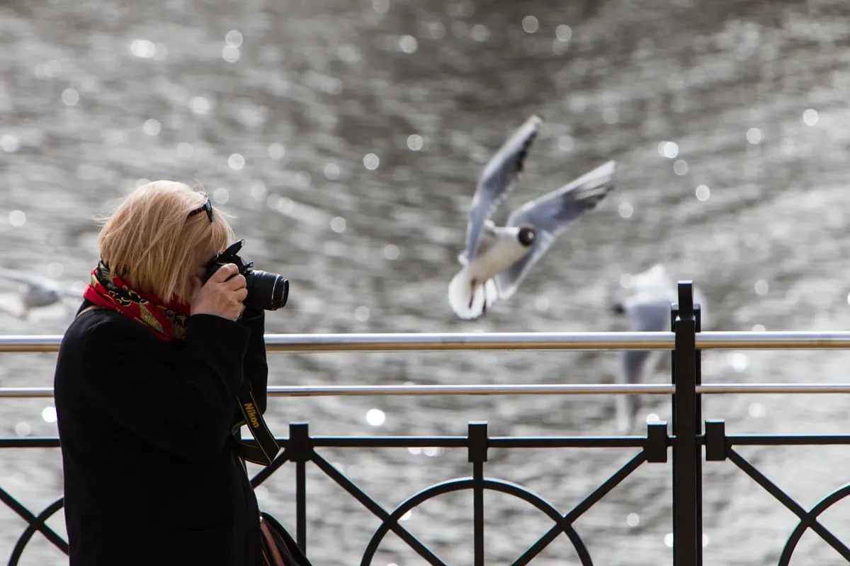 Аналитика осени: лидеры по бронированиям — Санкт-Петербург, Сочи и Москва; в рейтинг вошли Нижний Новгород, Казань, Кисловодск, Краснодар и Владивосток. Аренда жилья ранней осенью начинается примерно от 3 тысяч рублей в сутки в наиболее доступных направлениях.
