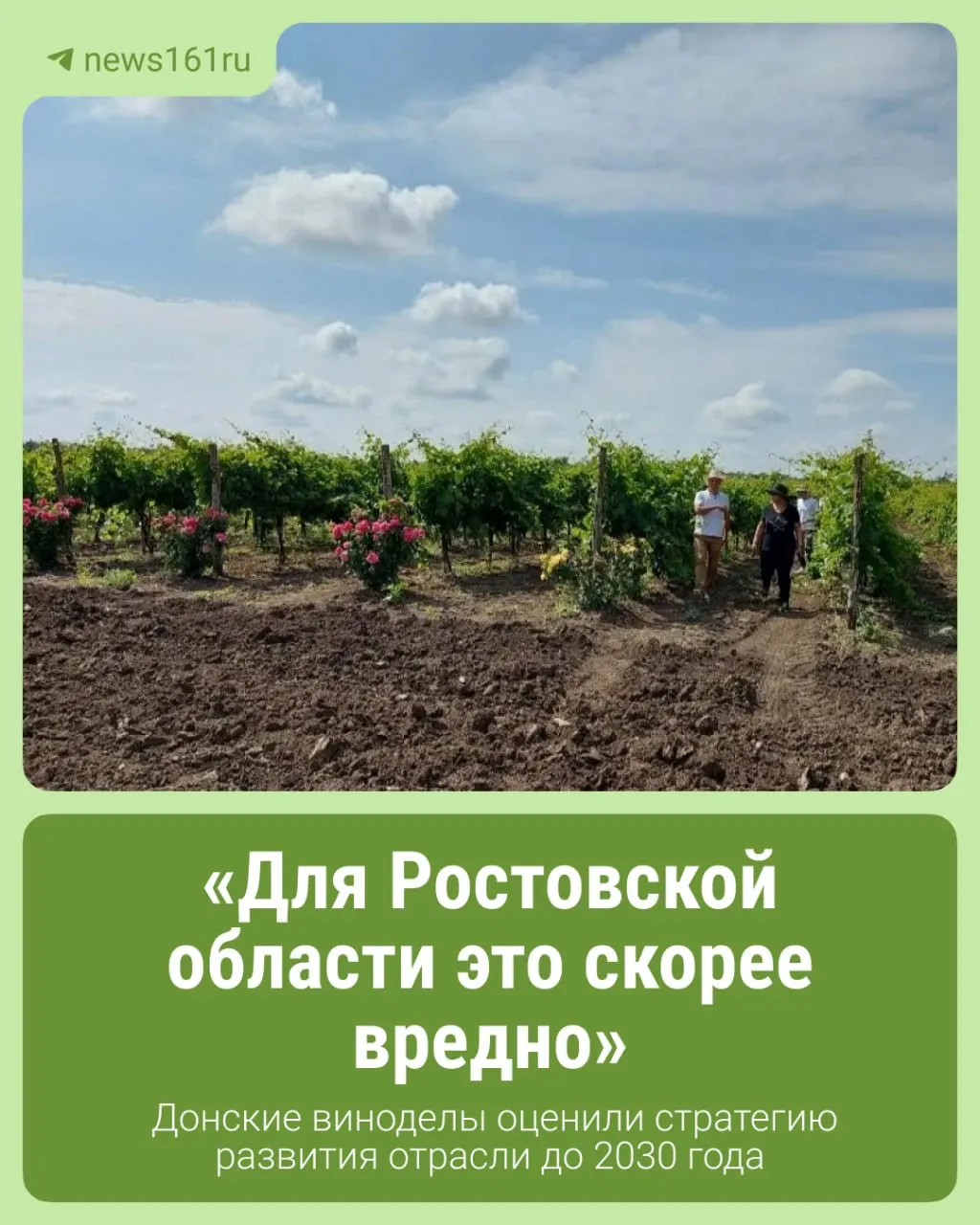 Область презентовала дорожную карту отрасли, включая точное земледелие, селекцию и модернизацию производства, с планами увеличить площади виноградников.