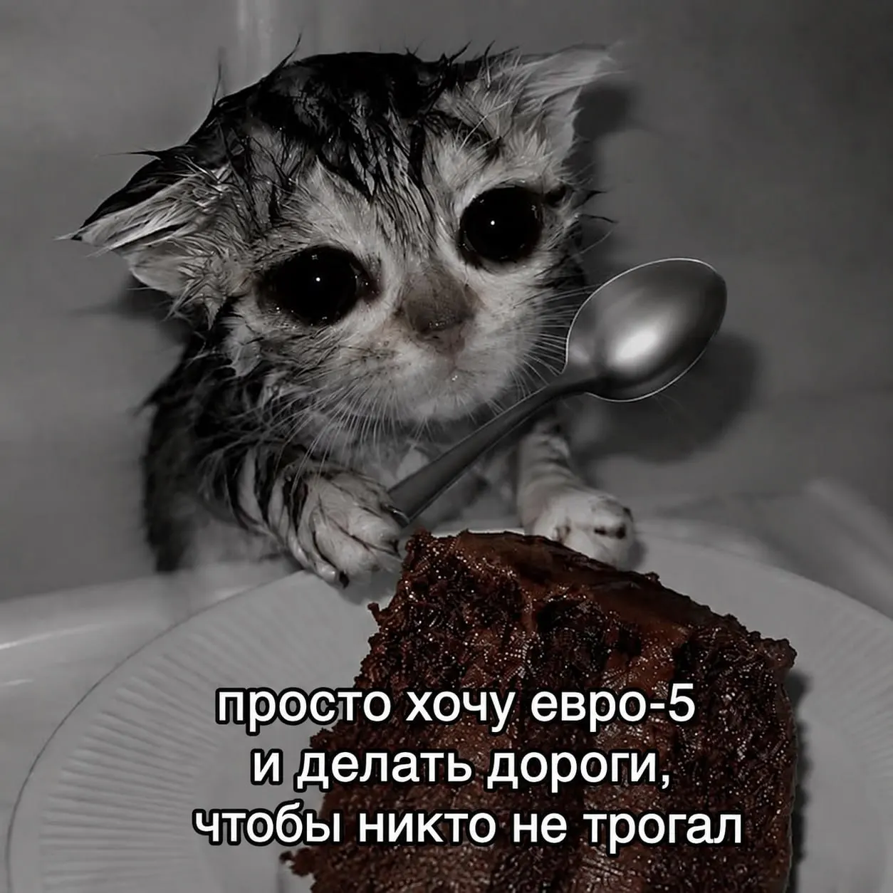 Дизель стандарта Евро-5 планируют поставлять для 17 филиалов республики; объём — около 900 тонн в месяц, победителей может быть до трёх.