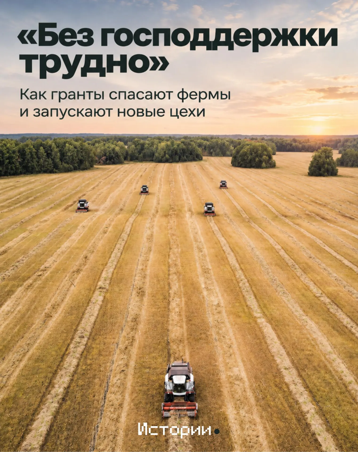 Разбор финансовой поддержки отрасли, лидеров и текущих трендов сельского хозяйства региона.