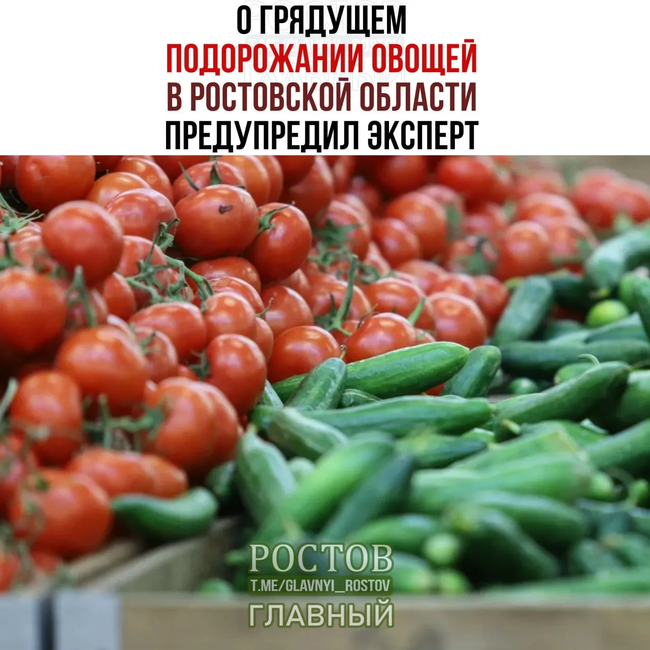 Цены на овощи и базовые товары растут в регионе из-за изменения ассортимента и роста издержек производителей и перевозок.