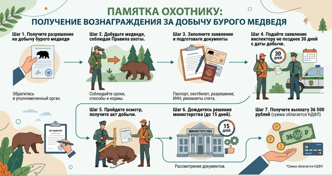 Охотники подали заявления на выплаты, регламент подачи документов и цифры по количеством добытых зверей; также зафиксированы случаи халатности и гибели людей.