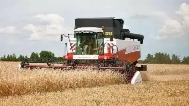 Уборочная кампания в Полтавском районе Омской области: 87 624 га зерновых и зернобобовых обмолочено, собрано 114 173 т зерна, урожайность — 13,03 ц/га; продолжается сбор масличных, подготовлены площади под урожай 2026 года.