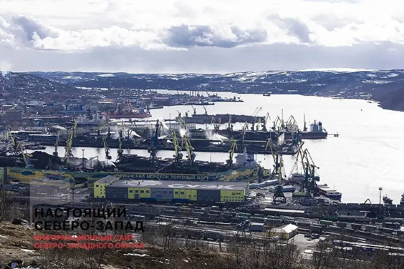 За первые шесть месяцев 2026 года почти половина компаний региона оказалась убыточной, особенно в строительстве и энергетике.