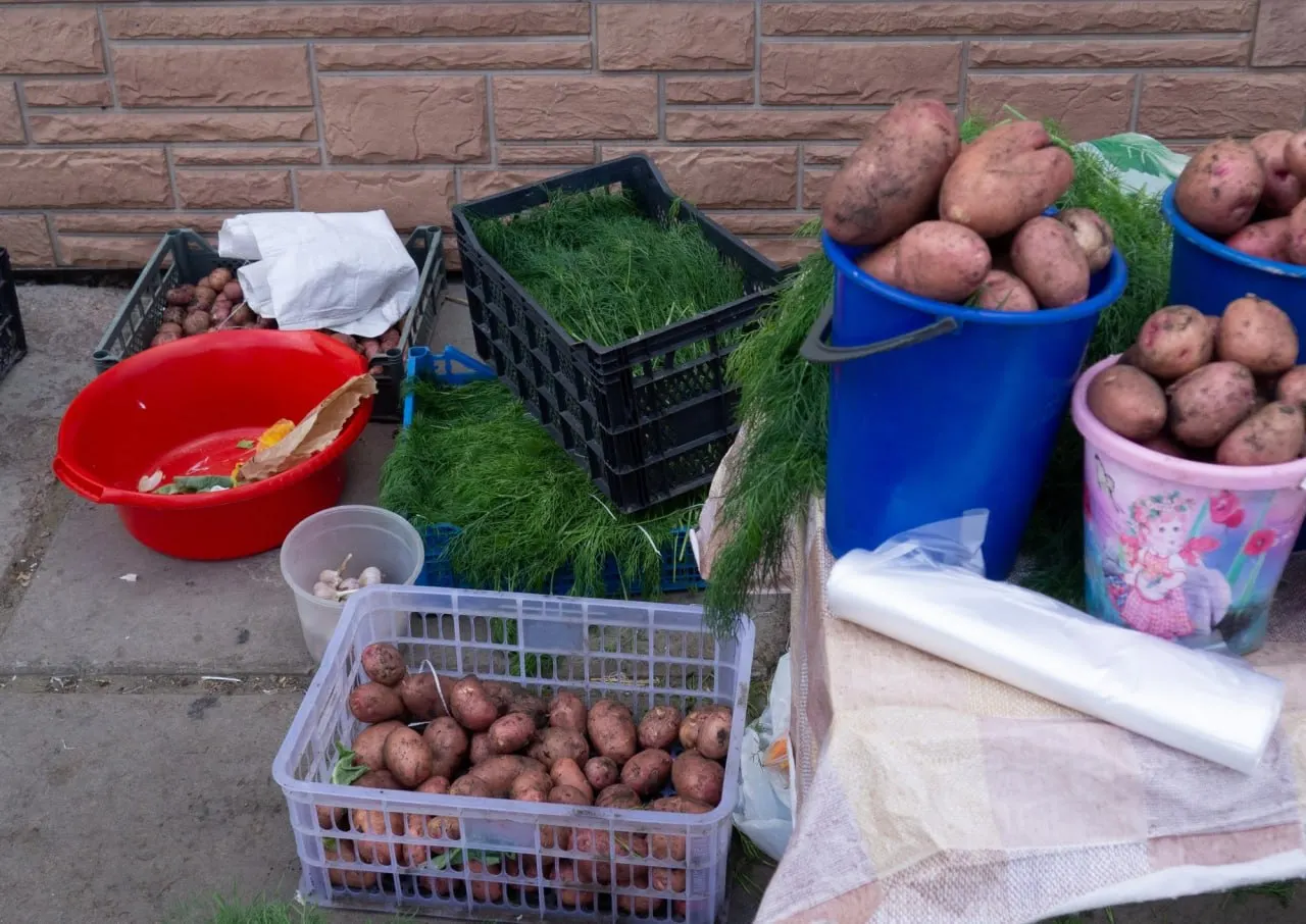 Цены на основные продукты питания продолжают расти: сахар, картофель и другие позиции демонстрируют значимый рост по сравнению с началом года.