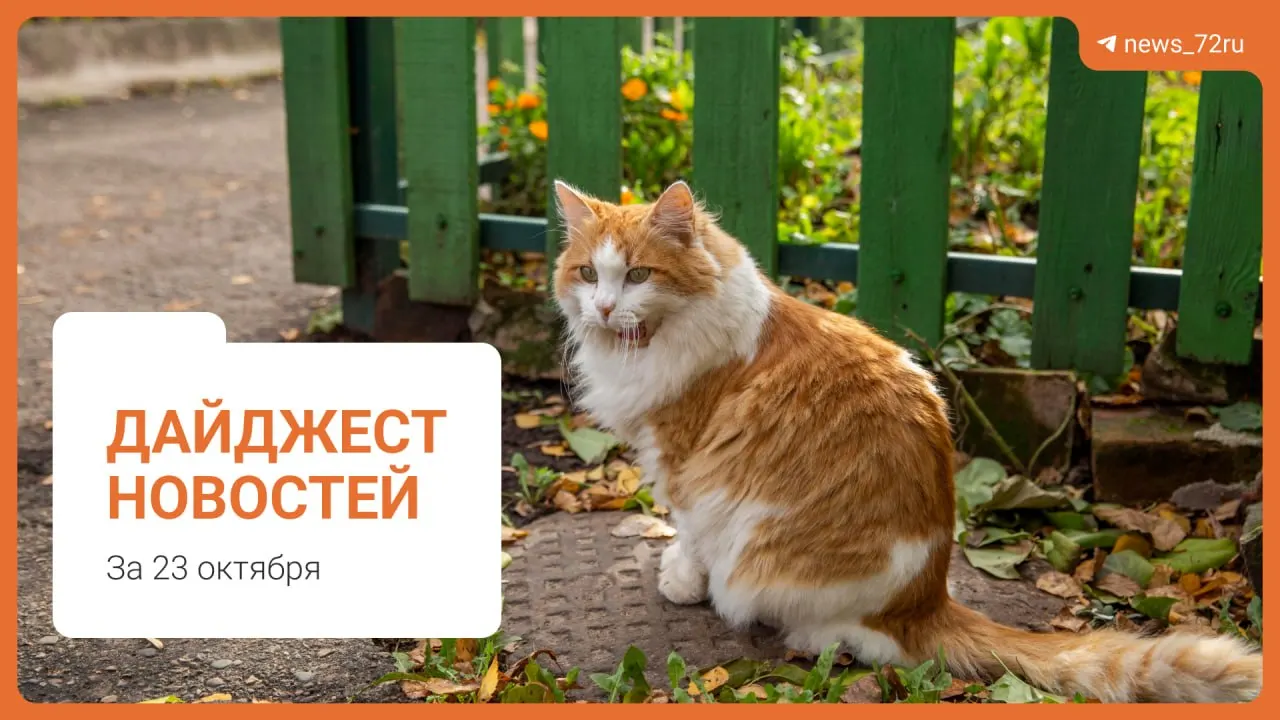 Дайджест важных новостей Тюменской области: проблемы с качеством воды, новые тарифы на ЖКУ и другие события региона.