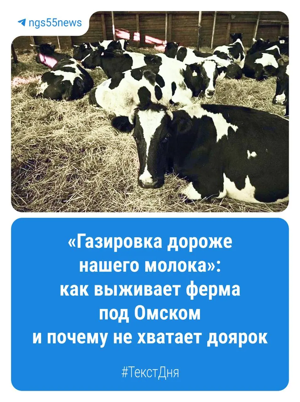 Как растёт и крепнет аграрный сектор региона: история одного фермерского хозяйства и обзор отрасли.