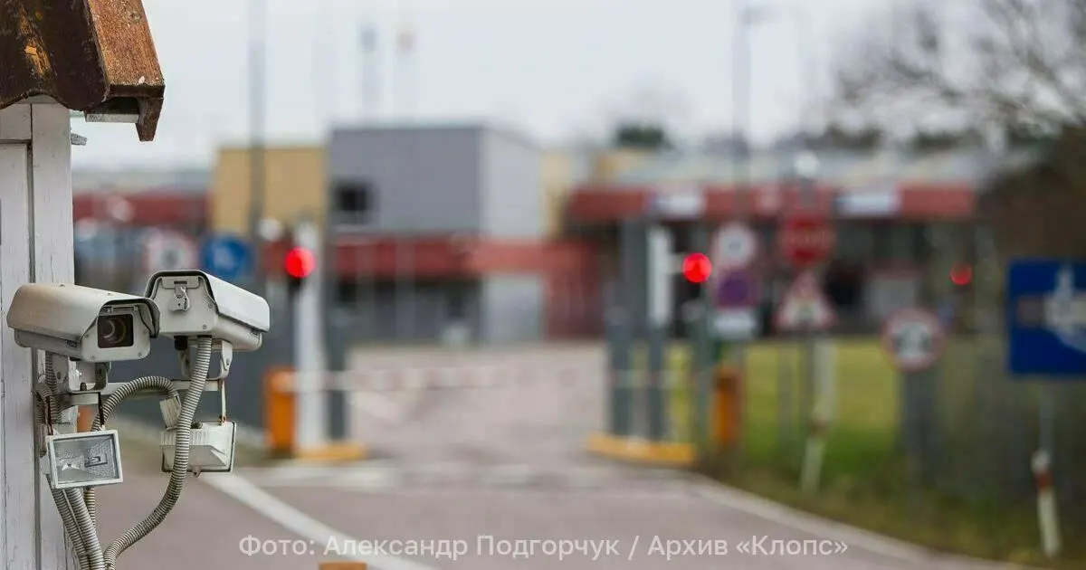 Гражданин пытался ввезти бруснику без фитосанитарного сертификата; установлен лимит на ввоз и ягоды конфискованы.