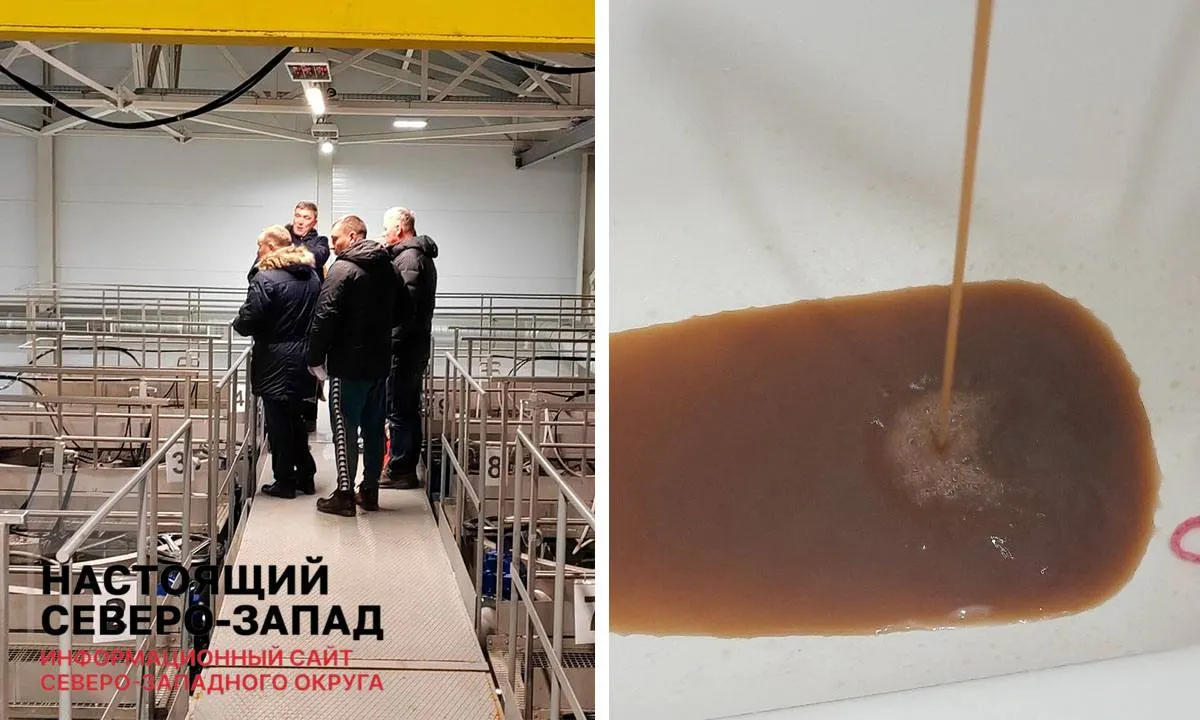 В регионе наблюдается снижение доли населения с доступом к качественной воде: изношенные сети и нехватка очистных сооружений усложняют ситуацию.