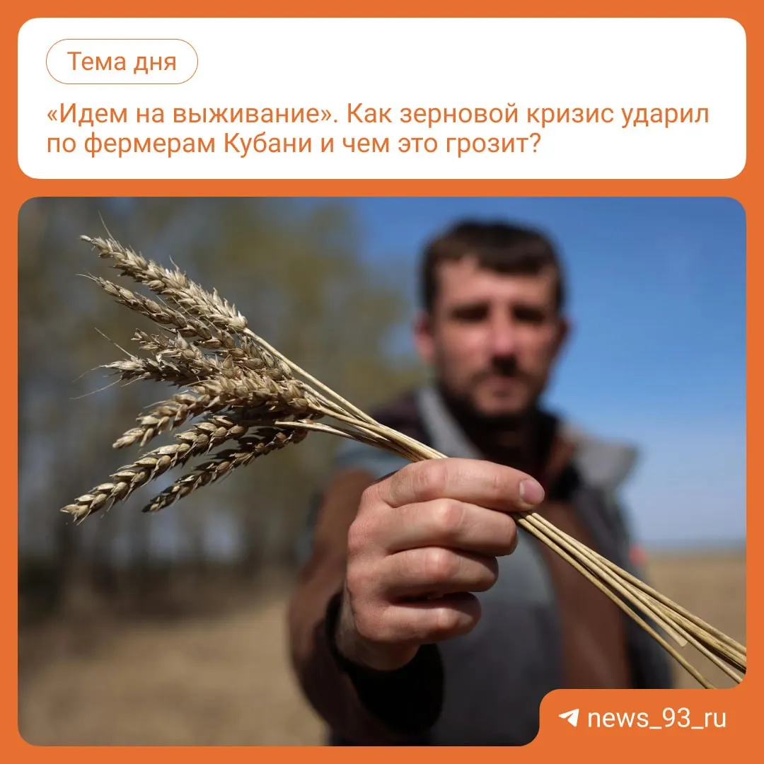 Из-за проблем с экспортом зерна на Кубани фермеры вынуждены продавать зерно по заниженным ценам, урожай скапливается на складах, а себестоимость выше рыночной.