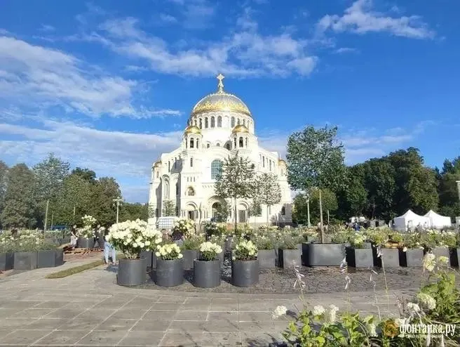 В арбитражном суде рассматривают спор о ничтожности сделки, заключённой в условиях СВО. Прокуратура требует отмены, стороны — сохранить её силу.