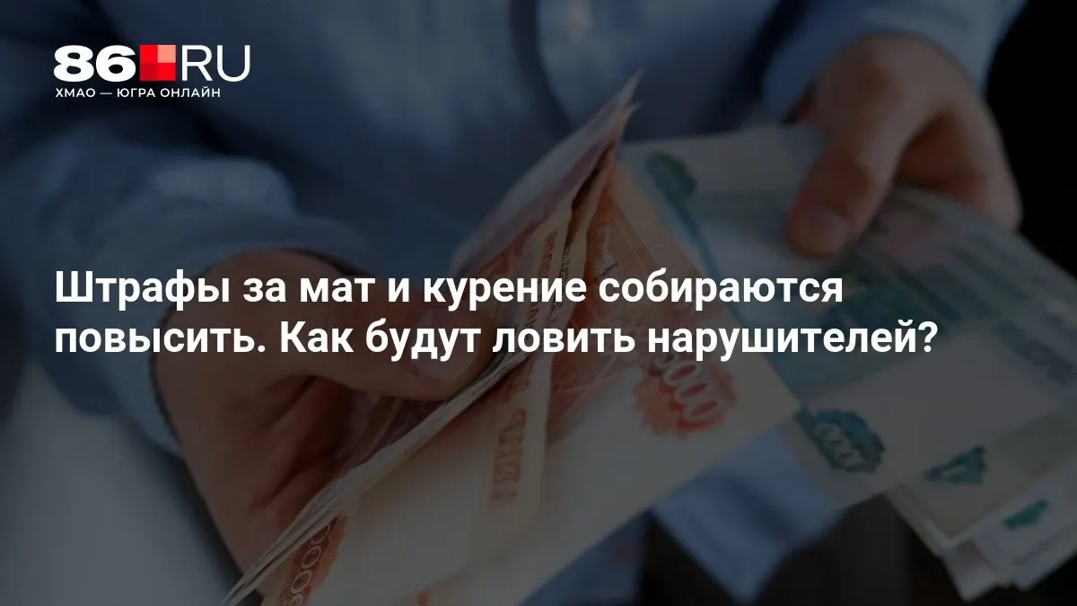 Депутаты обсуждают ужесточение штрафов и риски полицейского произвола.