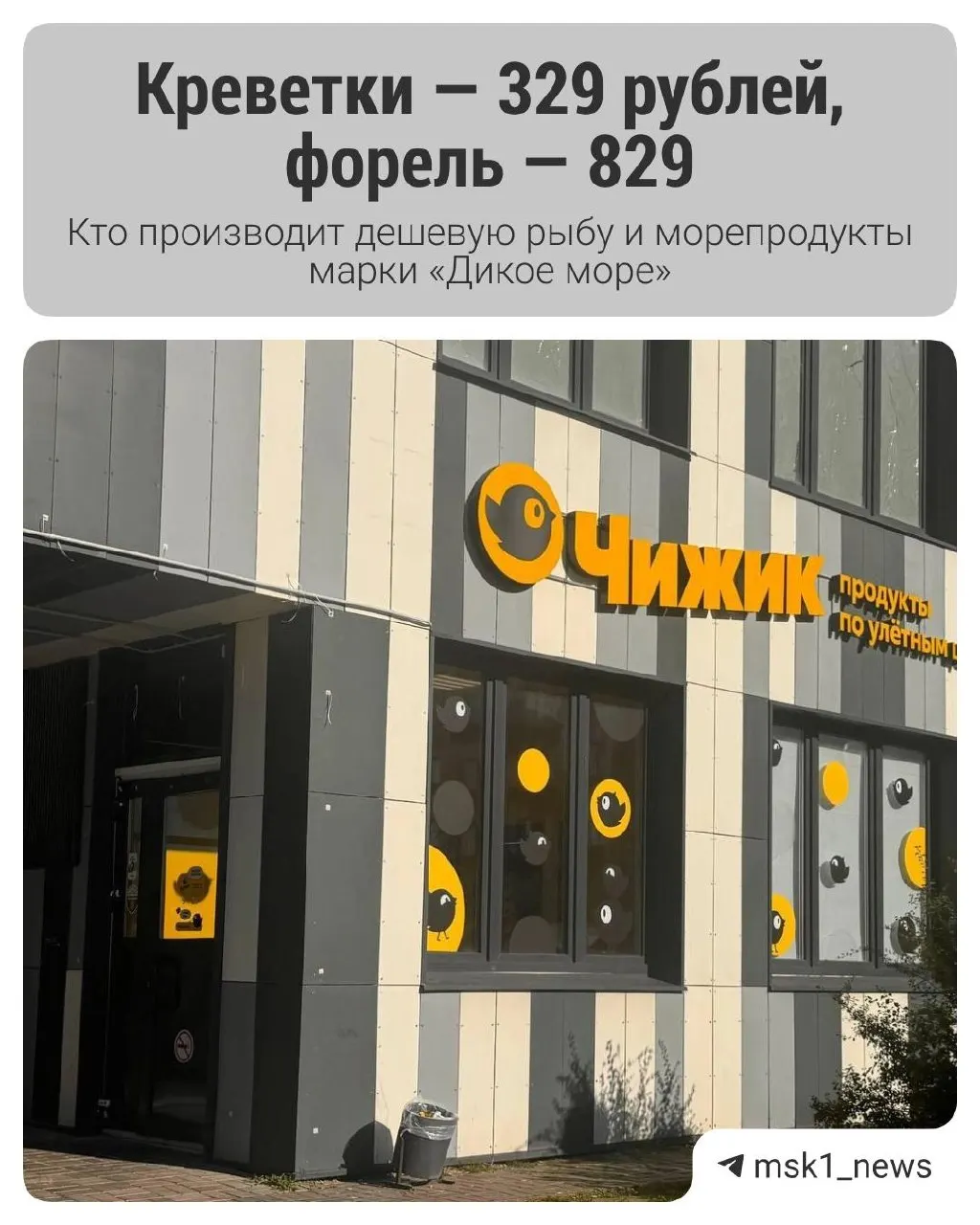 За единым названием могут скрываться предприятия из разных регионов. Мы разберёмся, какие компании стоят за продукцией и как это влияет на рынок.