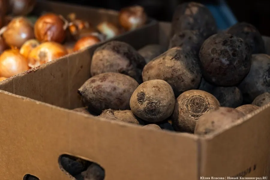 Регион вошёл в топ-10 по экспорту АПК и подписал соглашение о продвижении продукции за рубеж.