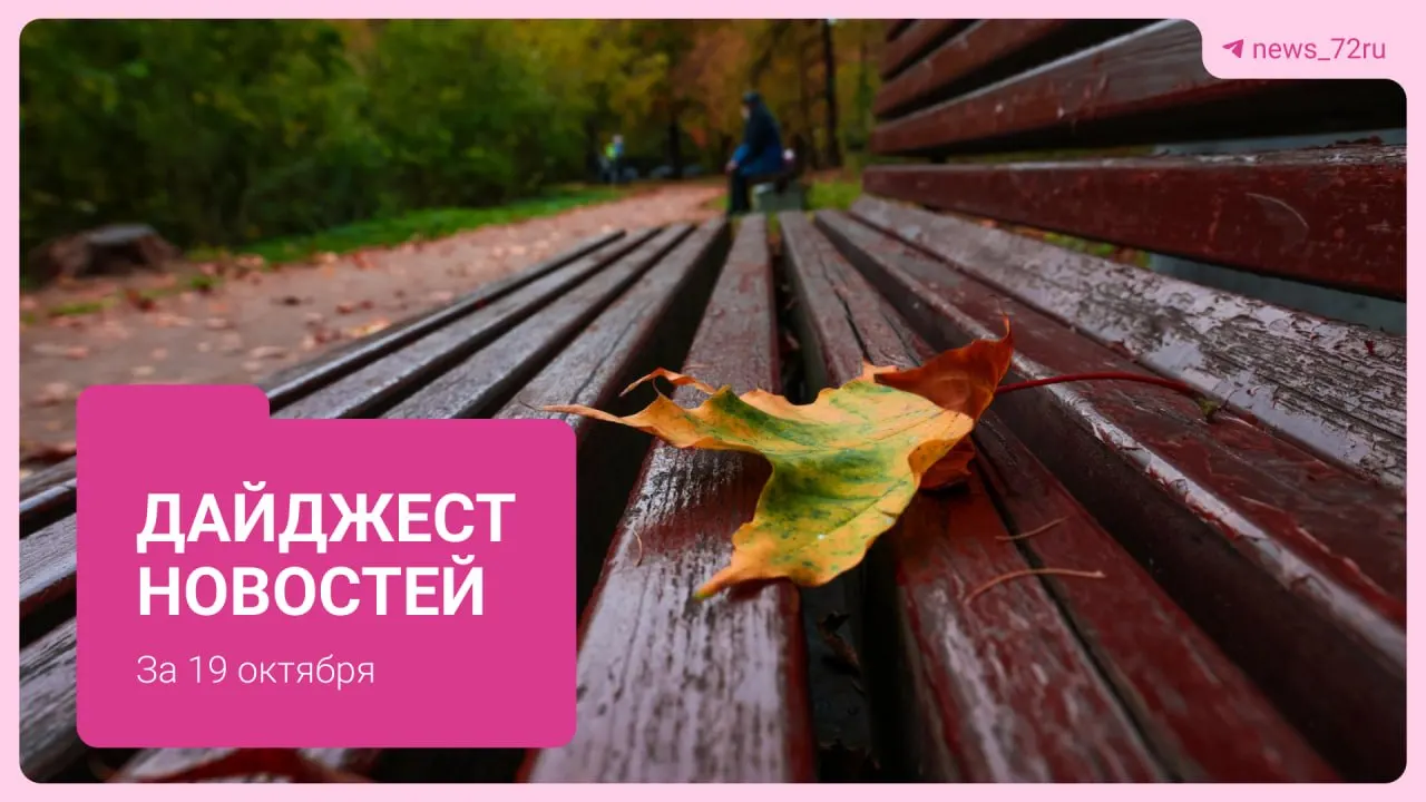 Медведь проник в дом местной жительницы, блуждал по комнатам и повредил зеркало. Дайджест региональных событий — ярмарки, транспорт, туризм и волонтёрская помощь.