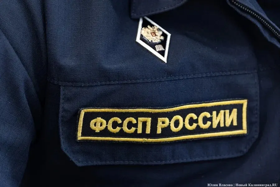 После ареста счетов и ограничений на регистрацию автомобилей и нежилого помещения должник погасил долг в установленный срок; исполнительский сбор не взимался.
