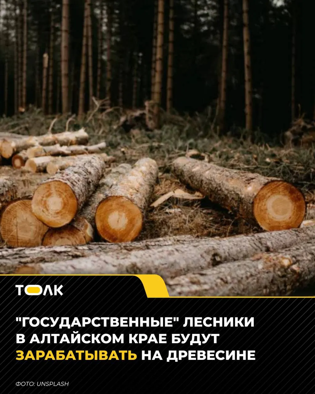 Правительство региона позволяет государственным лесохозяйственным учреждениям реализовывать спелую и перестойную древесину; выручка пойдет на охрану, защиту и восстановление лесов.