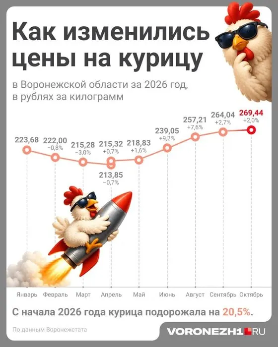 За год в регионе куриное мясо и яйца заметно подорожали: окорочка дороже примерно 200 ₽ за кг, филе — около 600 ₽ за кг, яйца — 90–155 ₽ за десяток, в зависимости от категории и производителя.
