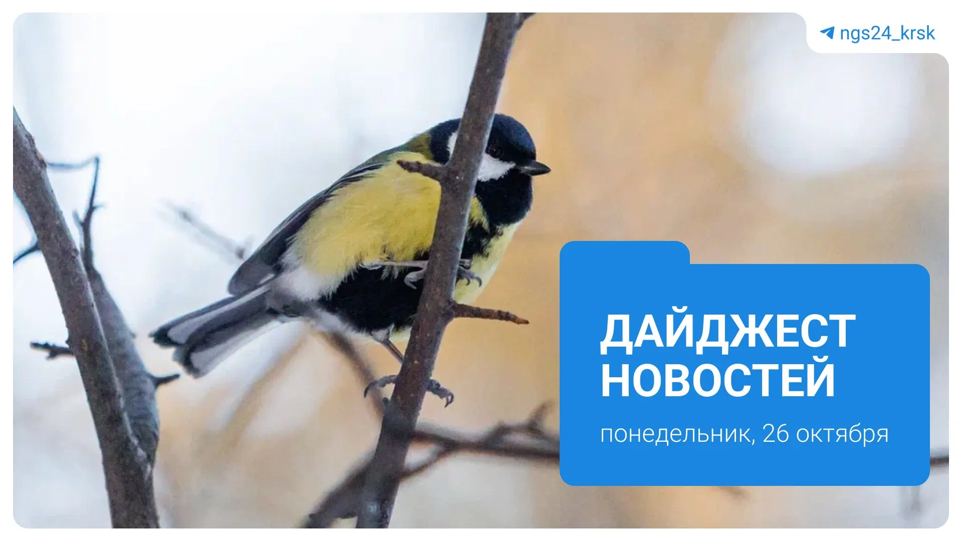 Разбор ключевых событий региона и страны: реорганизация здравоохранения, новые меры по ЖКХ, социальные и спортивные обновления.