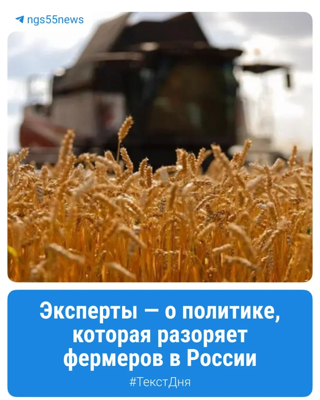 Фермеры Омской области объясняют, как выдерживают кризис, когда себестоимость производства выше цены закупки, и какие факторы влияют на стоимость продуктов.
