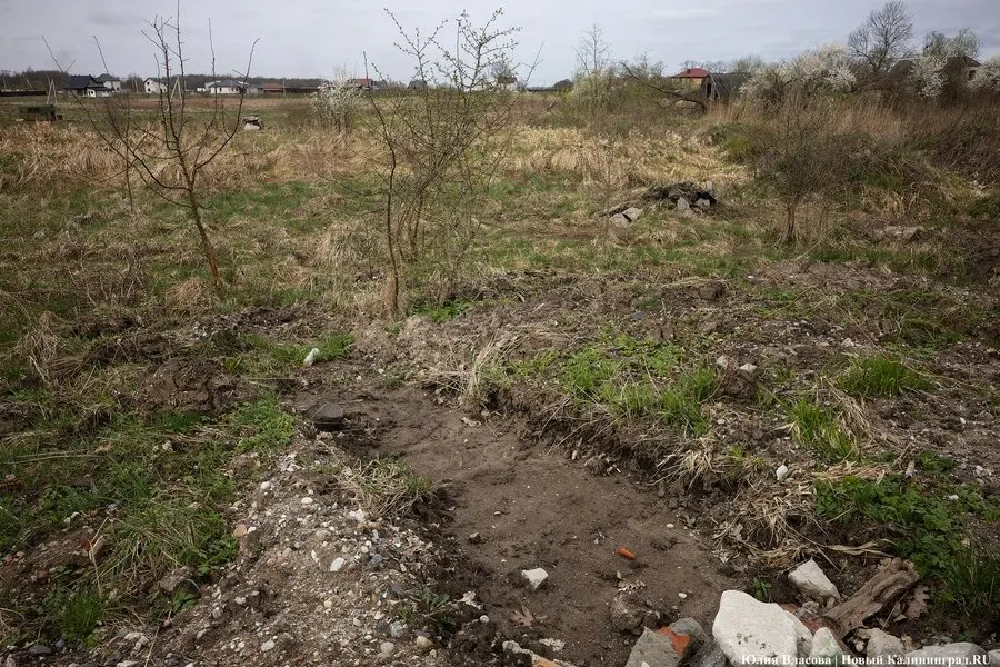 В Калининградской области пересчитали налог на 59 сельхозучастков: ставка за неиспользование земли выросла до 1,5%.