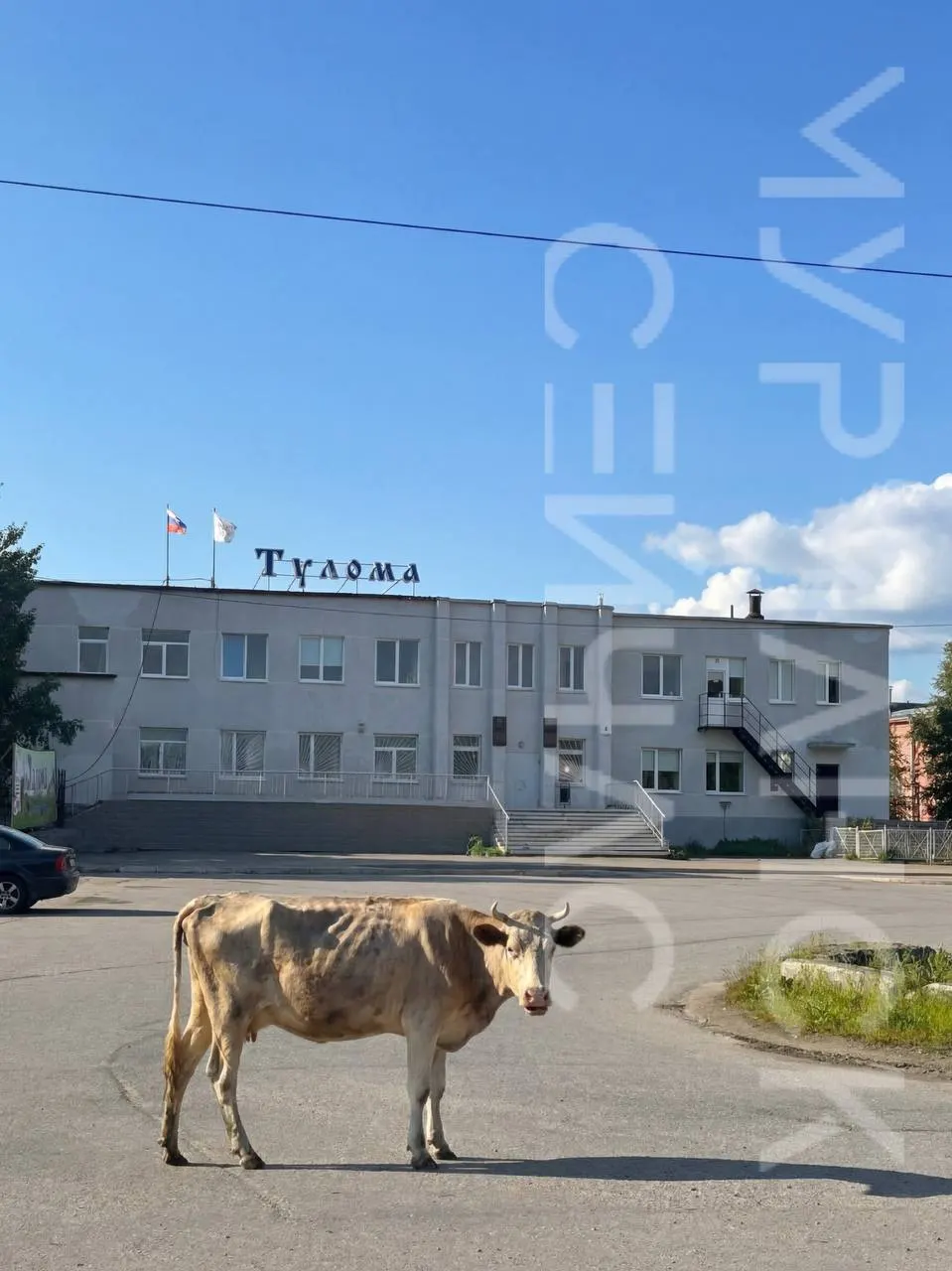 Проверка выявила реальные проблемы на крупном сельскохозяйственном предприятии региона; обсуждаются причины, ответственные и планы по выводу хозяйства из кризиса.