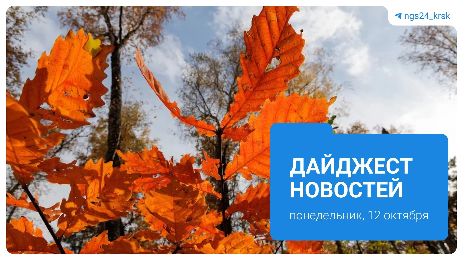 Сводка событий дня в регионе: нападение на девочку, дискуссии о дикой природе, дорожная политика и новости рынка топлива.