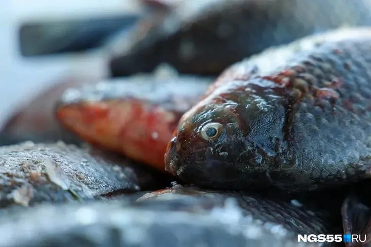 Новый завод будет торговать рыбой и перерабатывать морепродукты; учредителем стал омский предприниматель Олег Садовик.