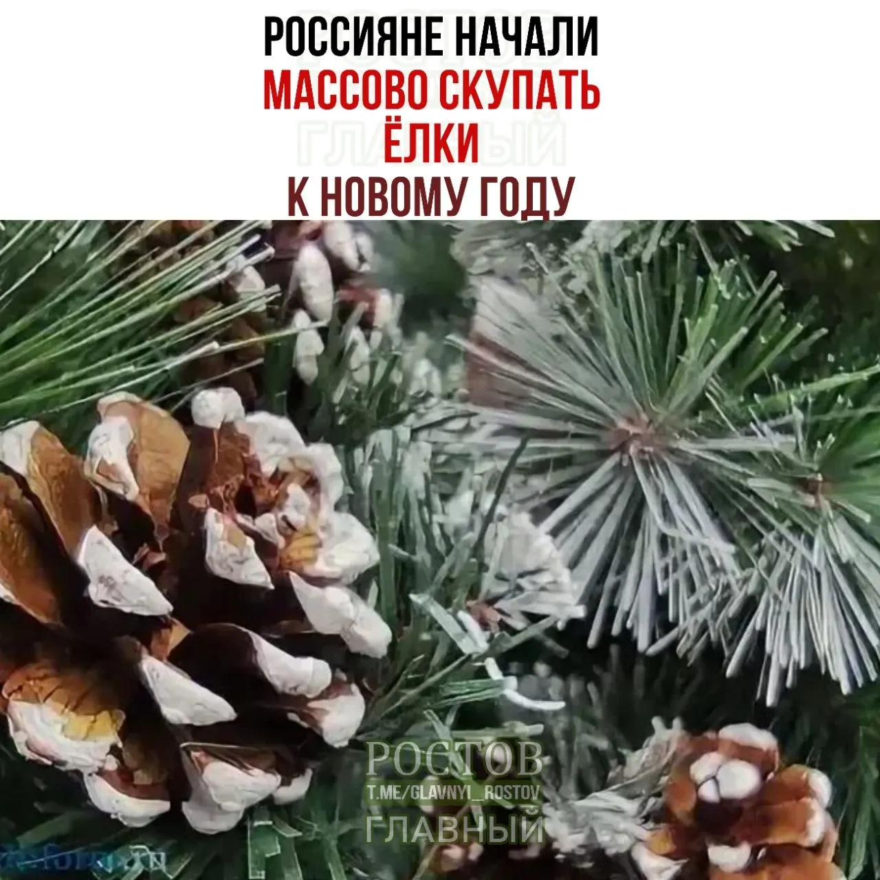 В начале сезона наблюдается рост спроса на искусственные ёлки и праздничные украшения: цены зависят от высоты изделия и варьируются.